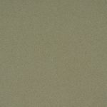 DESERT BROWN CLOSE UP