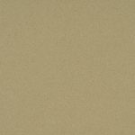 MOCCA CREME CLOSE UP